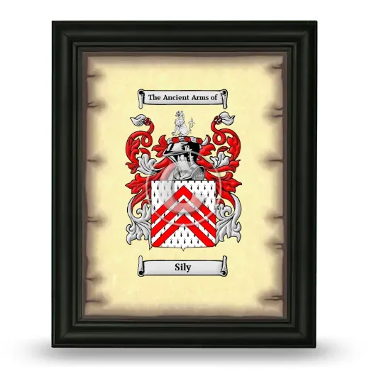 Sily Coat of Arms Framed - Black
