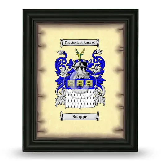 Snappe Coat of Arms Framed - Black