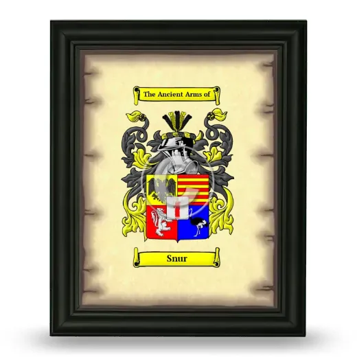 Snur Coat of Arms Framed - Black