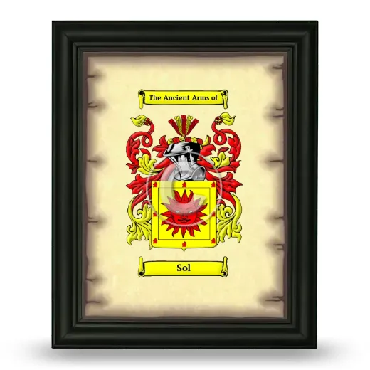 Sol Coat of Arms Framed - Black
