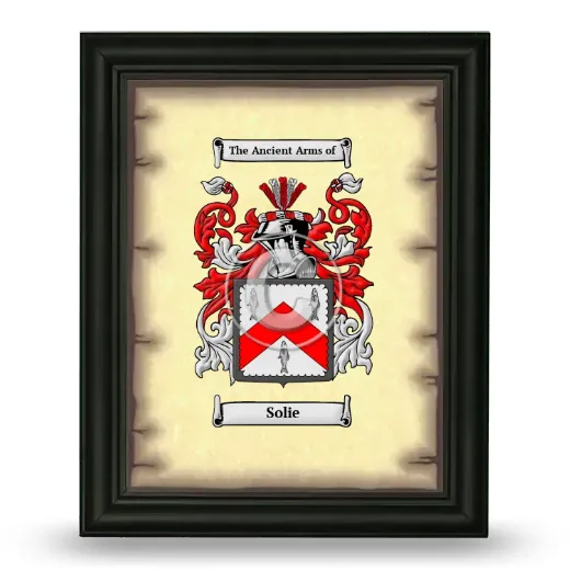 Solie Coat of Arms Framed - Black