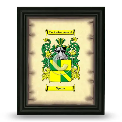 Spane Coat of Arms Framed - Black