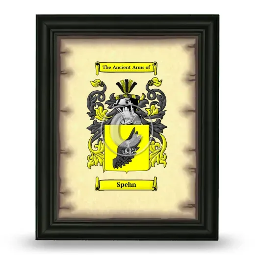 Spehn Coat of Arms Framed - Black