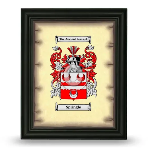 Springle Coat of Arms Framed - Black