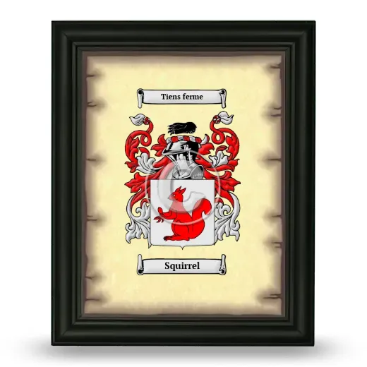 Squirrel Coat of Arms Framed - Black