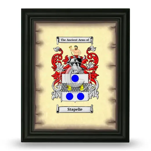 Stapelie Coat of Arms Framed - Black