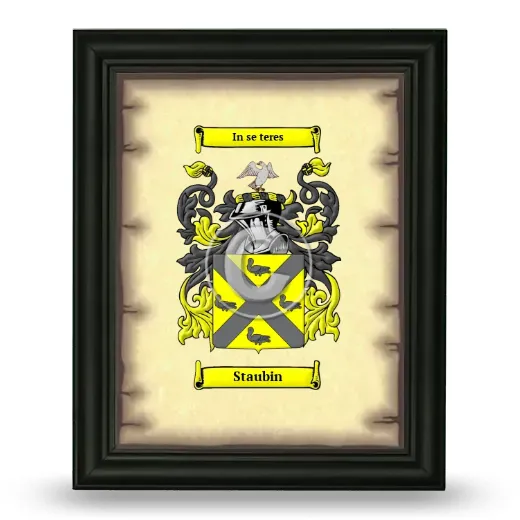 Staubin Coat of Arms Framed - Black