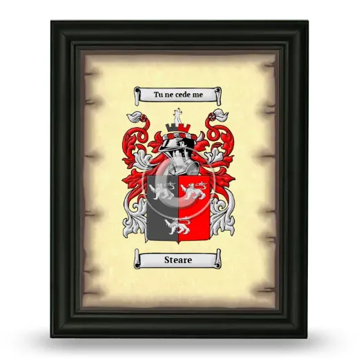 Steare Coat of Arms Framed - Black
