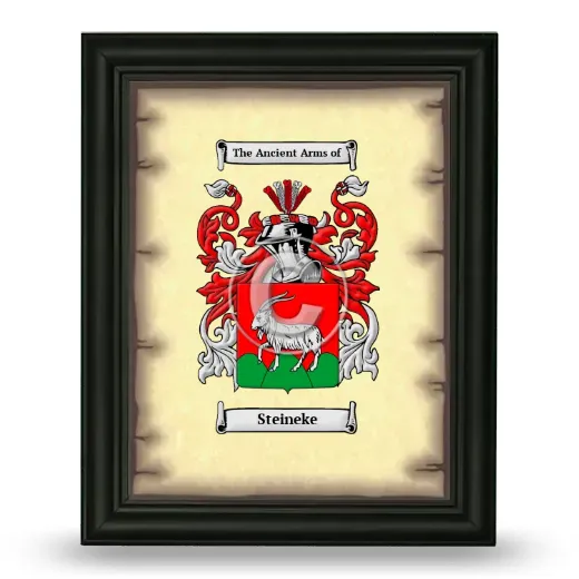 Steineke Coat of Arms Framed - Black