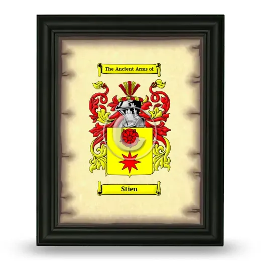 Stien Coat of Arms Framed - Black