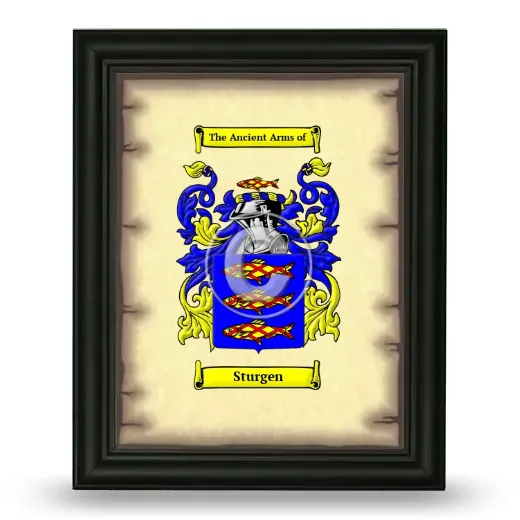 Sturgen Coat of Arms Framed - Black