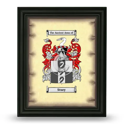 Stury Coat of Arms Framed - Black