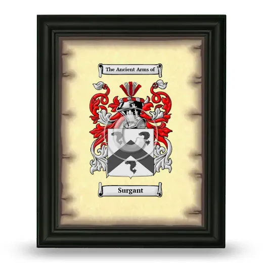 Surgant Coat of Arms Framed - Black