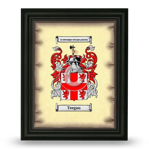 Teegan Coat of Arms Framed - Black