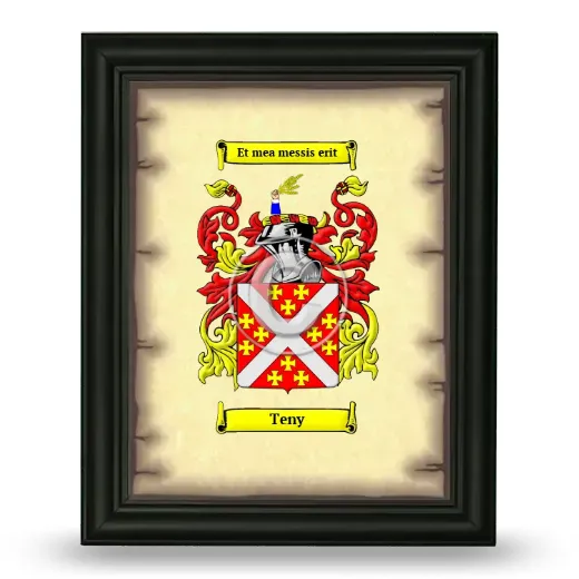 Teny Coat of Arms Framed - Black