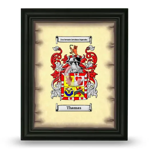 Thamas Coat of Arms Framed - Black