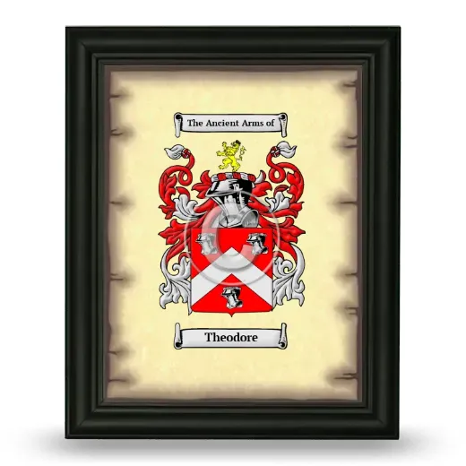 Theodore Coat of Arms Framed - Black