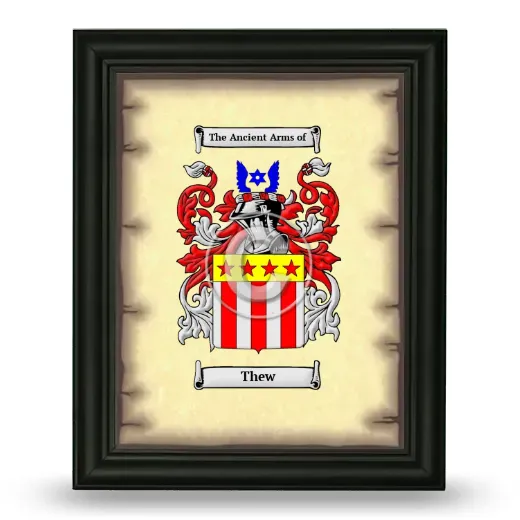 Thew Coat of Arms Framed - Black