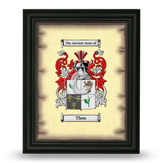 Thon Coat of Arms Framed - Black