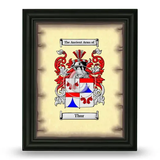 Thur Coat of Arms Framed - Black
