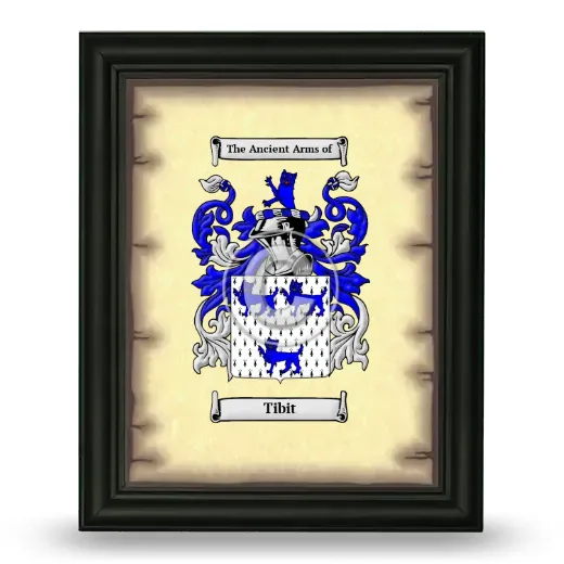 Tibit Coat of Arms Framed - Black