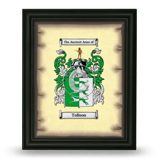 Tolison Coat of Arms Framed - Black