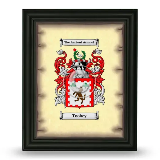 Toohey Coat of Arms Framed - Black