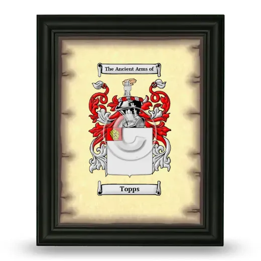 Topps Coat of Arms Framed - Black