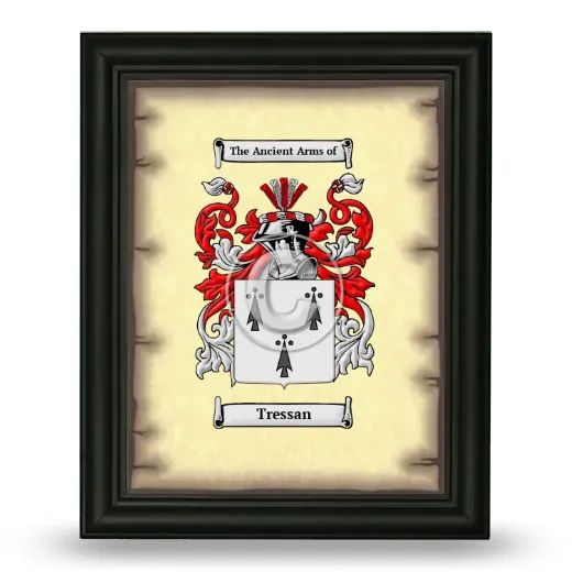 Tressan Coat of Arms Framed - Black