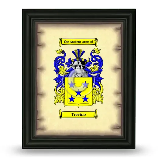 Trevino Coat of Arms Framed - Black