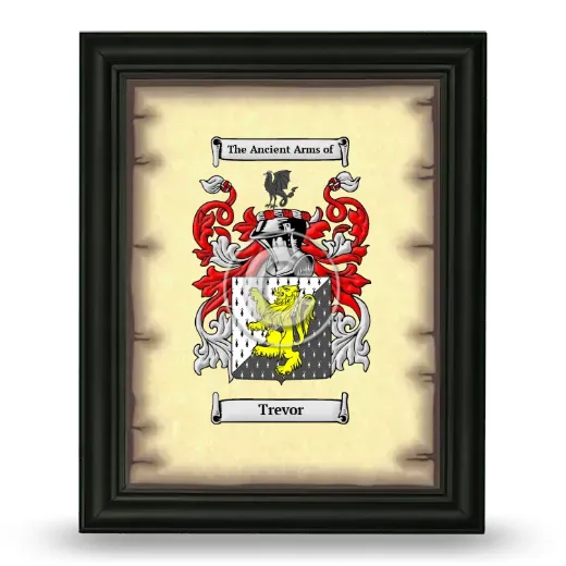 Trevor Coat of Arms Framed - Black