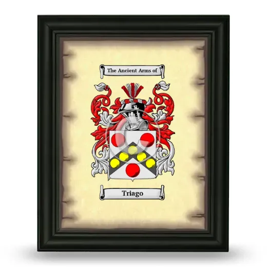 Triago Coat of Arms Framed - Black