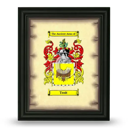 Troit Coat of Arms Framed - Black