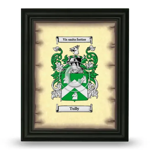 Tully Coat of Arms Framed - Black