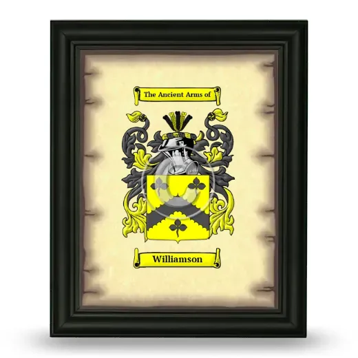 Williamson Coat of Arms Framed - Black