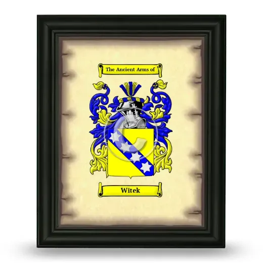 Witek Coat of Arms Framed - Black