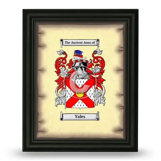 Yales Coat of Arms Framed - Black