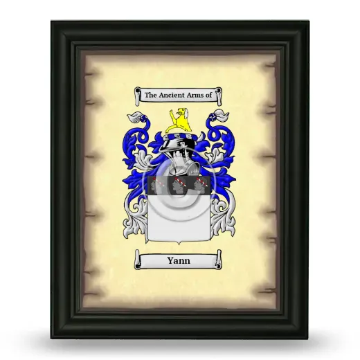 Yann Coat of Arms Framed - Black