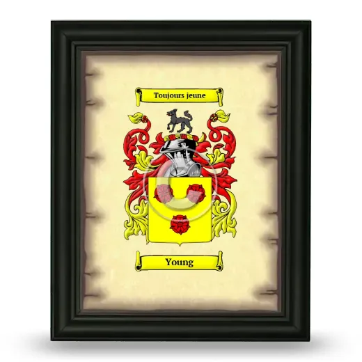 Young Coat of Arms Framed - Black