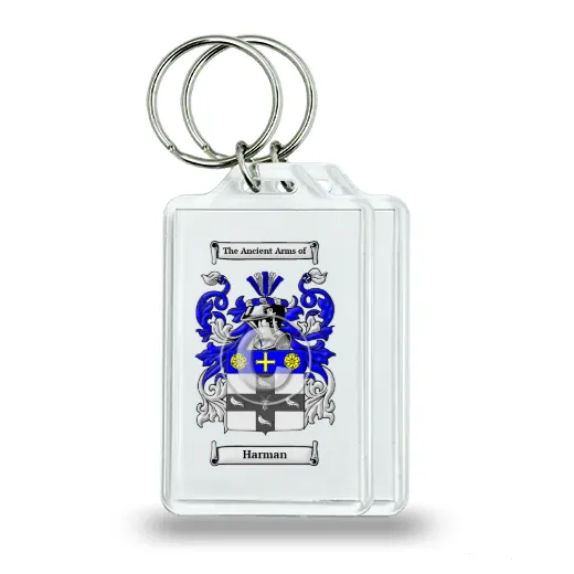 Harman Pair of Keychains