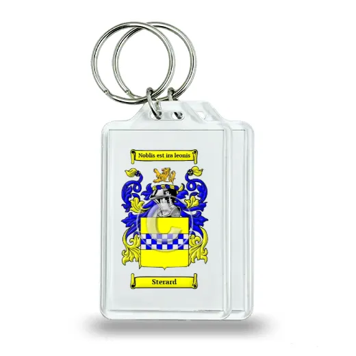 Sterard Pair of Keychains