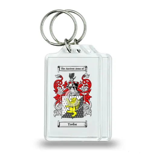 Trefor Pair of Keychains