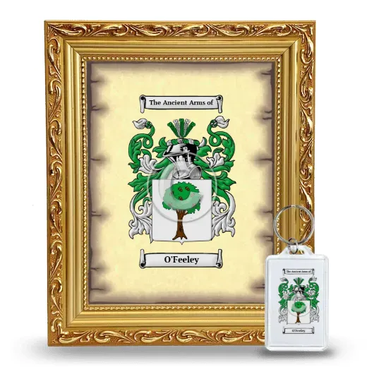 O'Feeley Framed Coat of Arms and Keychain - Gold