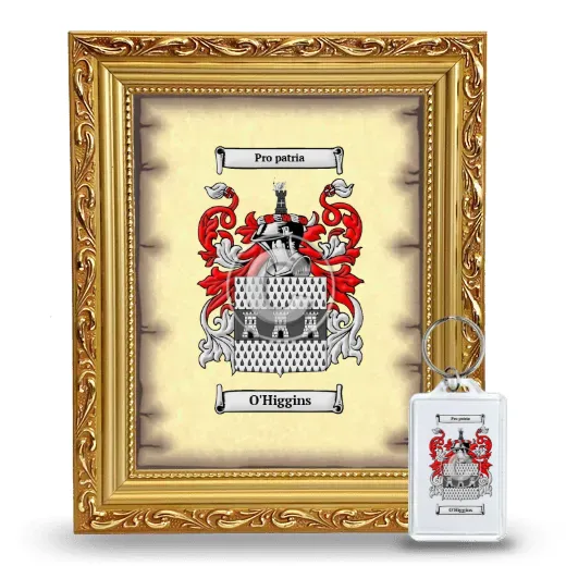 O'Higgins Framed Coat of Arms and Keychain - Gold