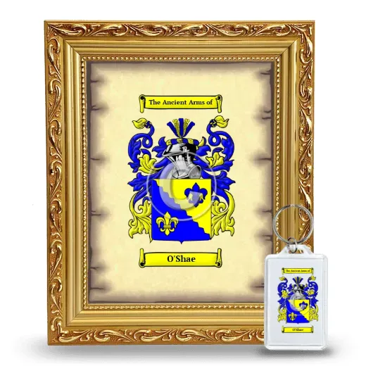O'Shae Framed Coat of Arms and Keychain - Gold