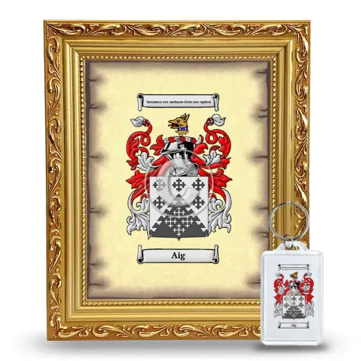 Aig Framed Coat of Arms and Keychain - Gold