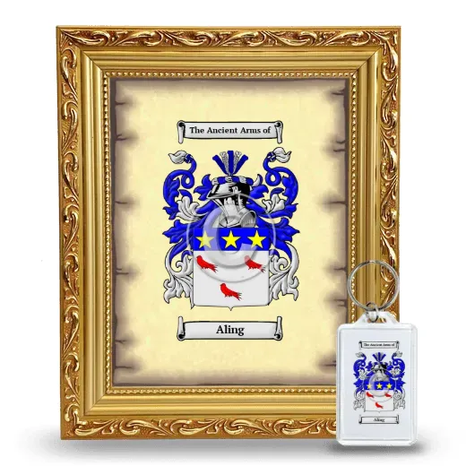 Aling Framed Coat of Arms and Keychain - Gold