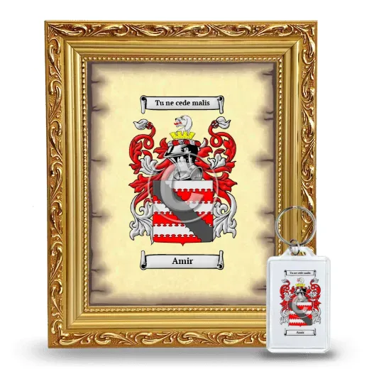 Amir Framed Coat of Arms and Keychain - Gold