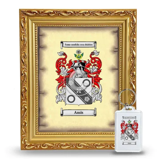 Amis Framed Coat of Arms and Keychain - Gold