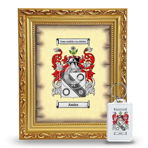 Amiss Framed Coat of Arms and Keychain - Gold